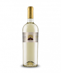 Castillo Chardonnay 2019 IGP Salento - Cardone