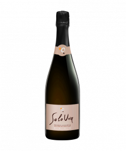 Franciacorta docg Brut Rosè - SoloUva