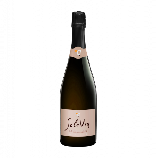 Franciacorta docg Brut Rosè - SoloUva