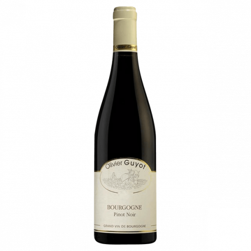 Bourgogne Pinot Noir 2018 - Domain Olivier Guyot