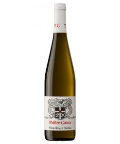 Gimmeldingen Riesling Trocken Bio - Müller Catoir
