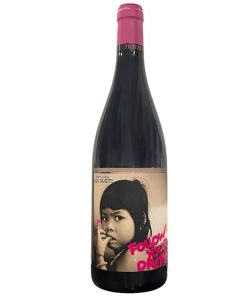 Baby Bandito Follow Your Dreams Testalonga